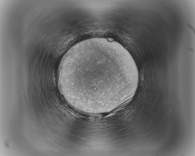 X0000101151252200807251040