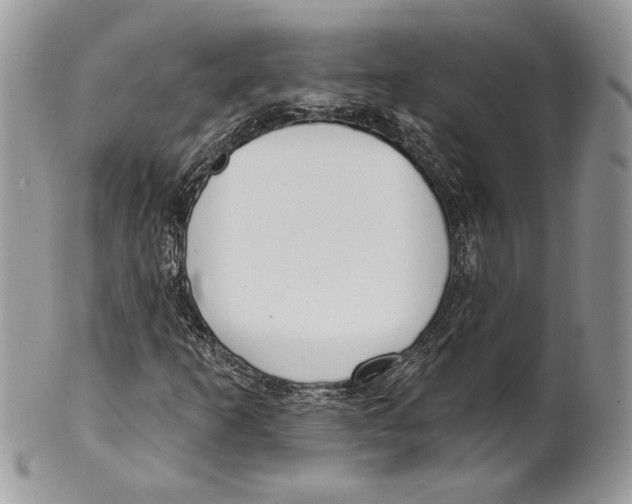 X0000101151253200807251040