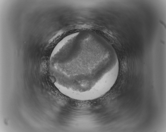 X0000101151254200807251040