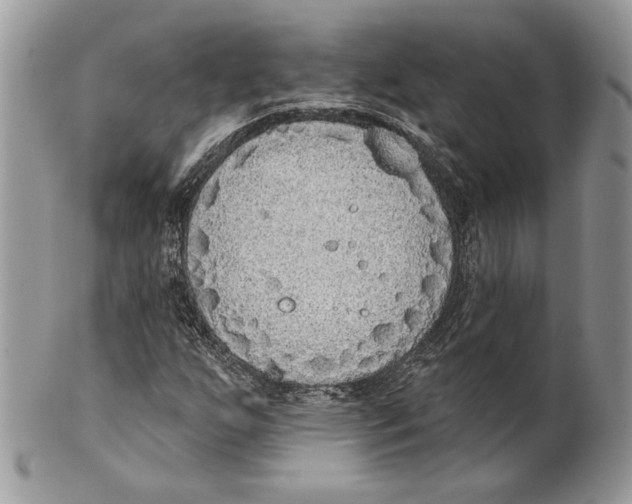 X0000101151255200807251040