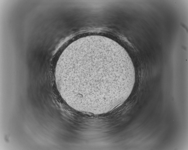 X0000101151256200807251040