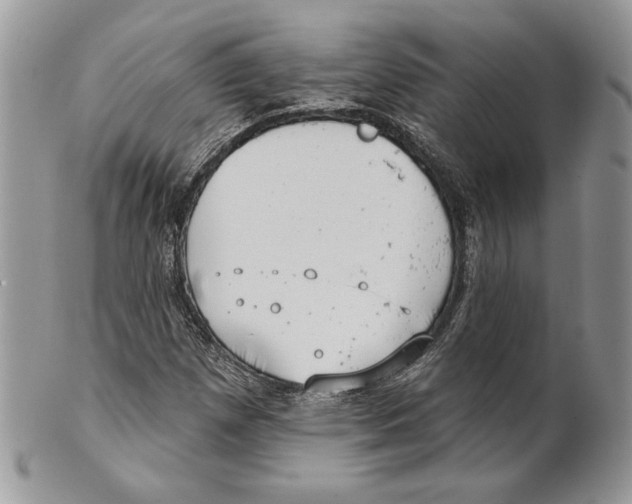 X0000101151257200807251040