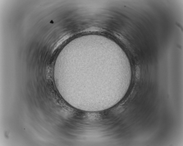 X0000101151258200807251040