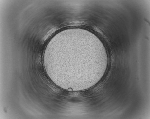 X0000101151259200807251040
