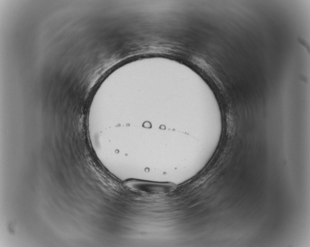 X0000101151260200807251040