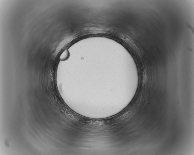 X0000101151261200807251040