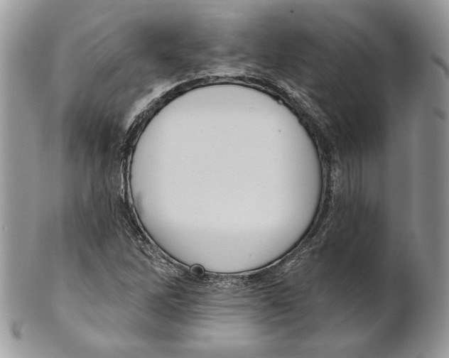 X0000101151262200807251040