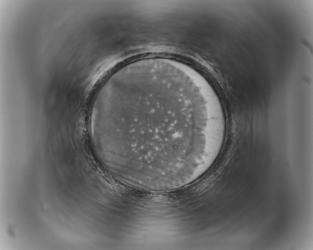 X0000101151263200807251040