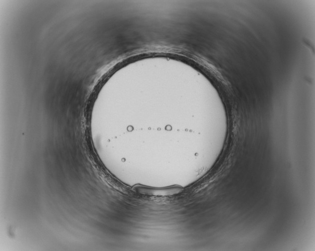 X0000101151264200807251040