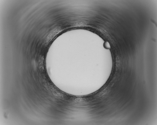 X0000101151265200807251040