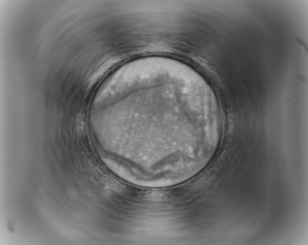 X0000101151266200807251040