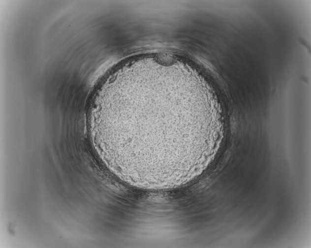 X0000101151267200807251040
