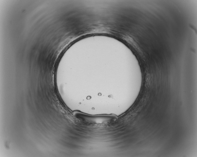 X0000101151268200807251040