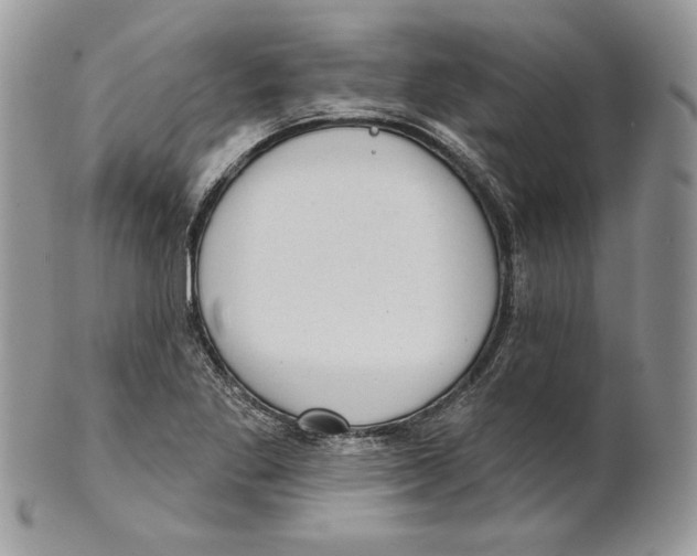 X0000101151269200807251040