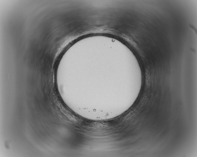 X0000101151270200807251040