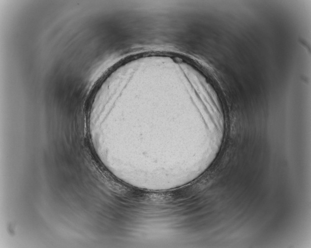 X0000101151271200807251040