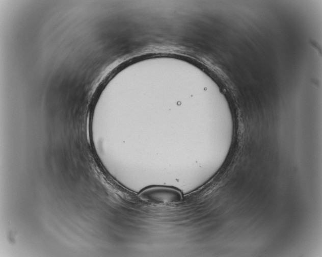 X0000101151272200807251040