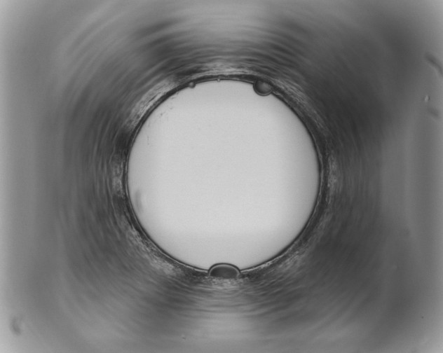 X0000101151273200807251040