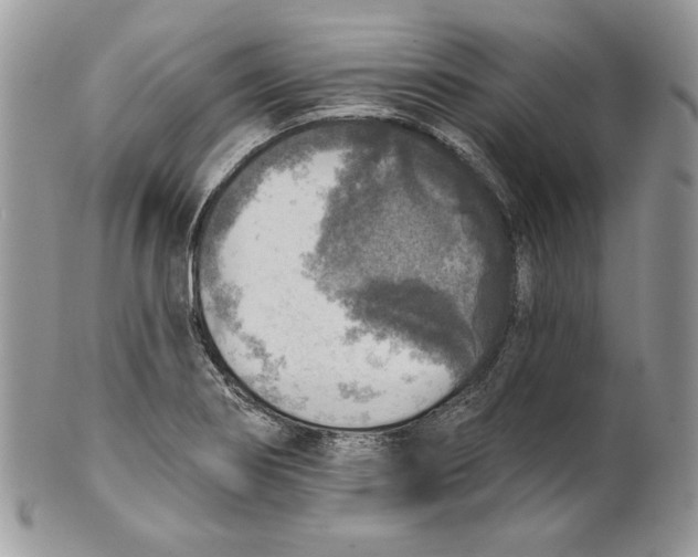 X0000101151274200807251040
