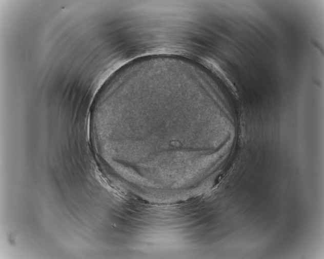 X0000101151276200807251040