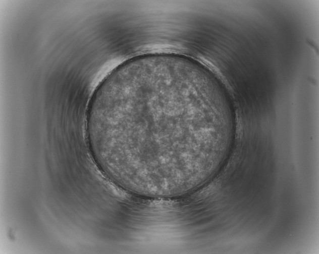 X0000101151277200807251040