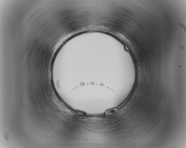 X0000101151280200807251040