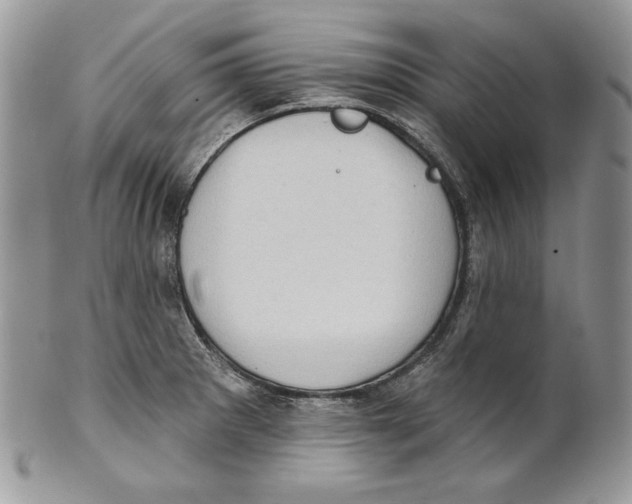 X0000101151281200807251040
