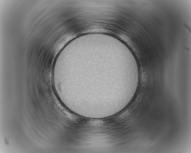 X0000101151282200807251040