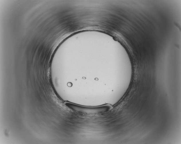 X0000101151284200807251040