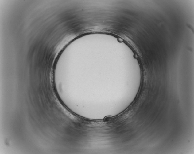 X0000101151285200807251040
