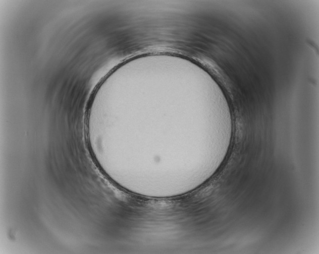 X0000101151286200807251040