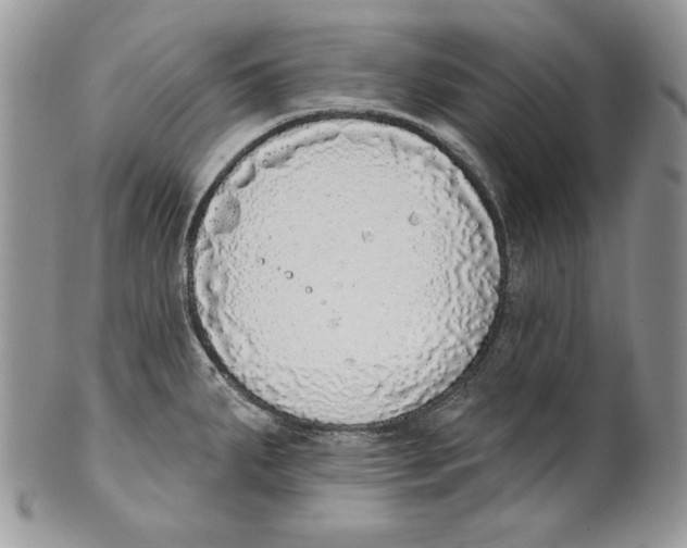 X0000101151287200807251040