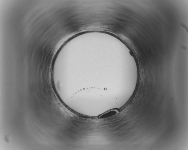 X0000101151288200807251040