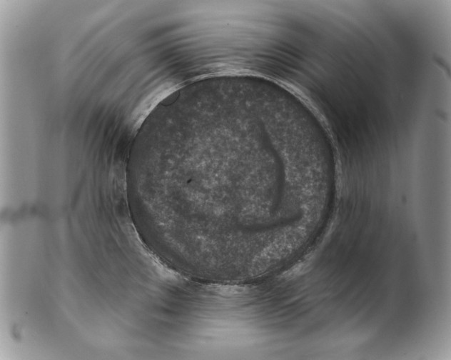 X0000101151289200807251040