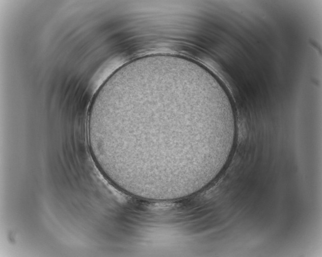 X0000101151290200807251040
