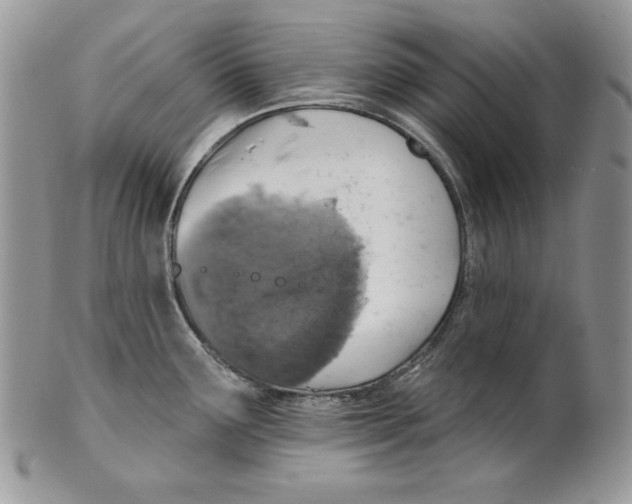 X0000101151291200807251040