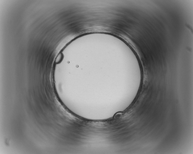 X0000101151293200807251040