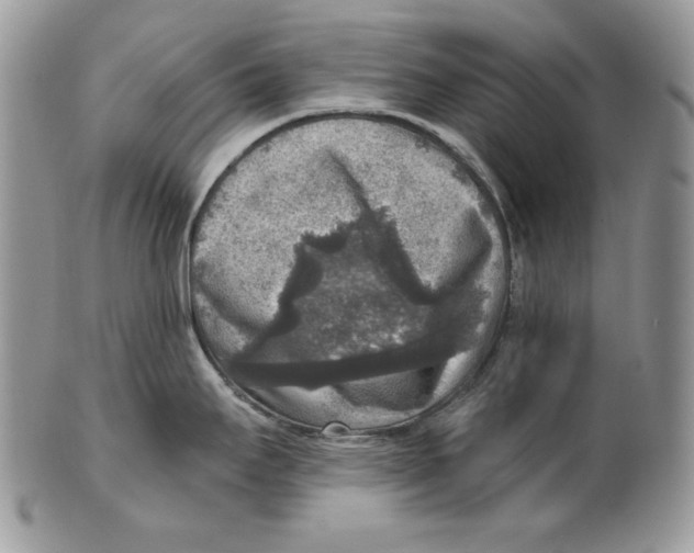 X0000101151295200807251040