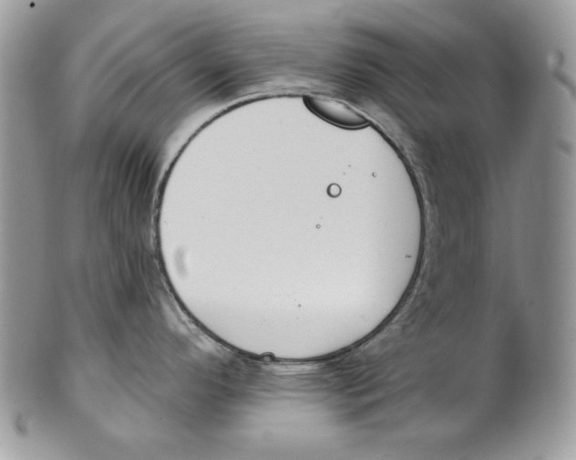 X0000101151296200807251040