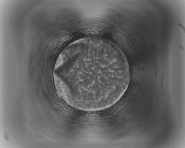 X0000101151297200807251039