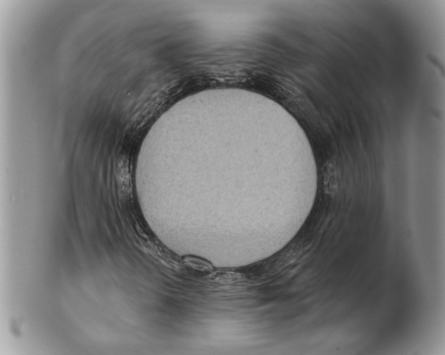 X0000101151298200807251039