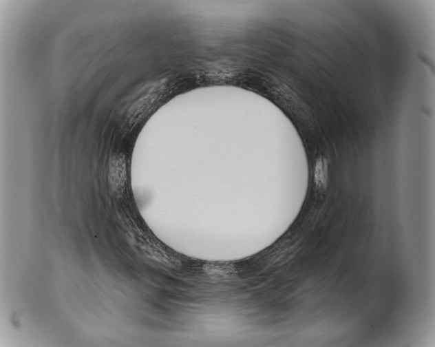 X0000101151299200807251039