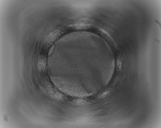 X0000101151300200807251039