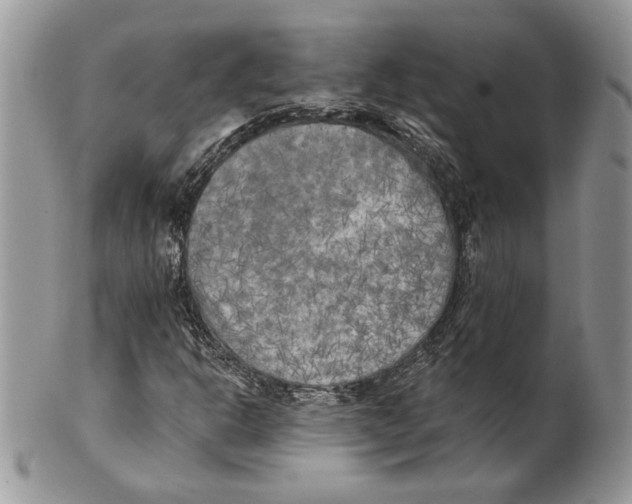 X0000101151302200807251039