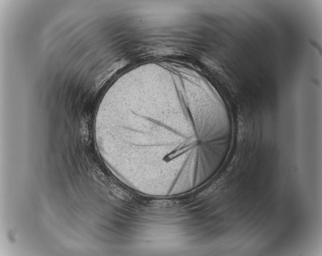 X0000101151305200807251039