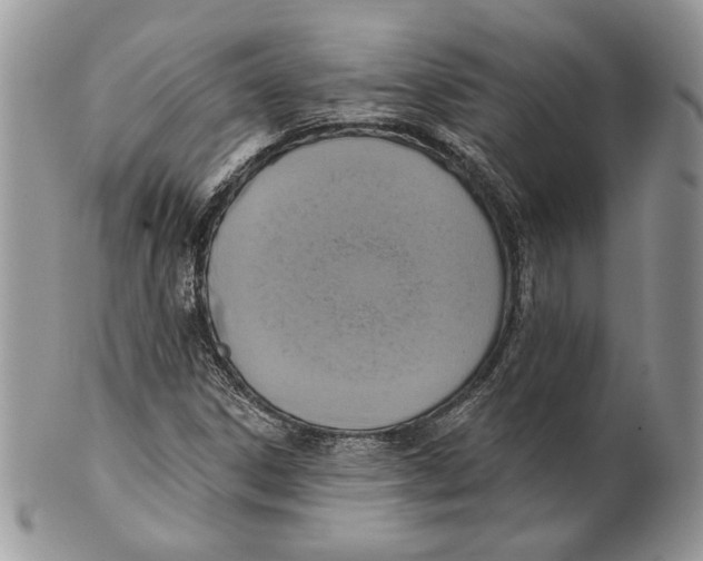 X0000101151306200807251039