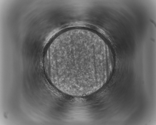 X0000101151312200807251039