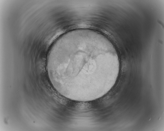 X0000101151314200807251039