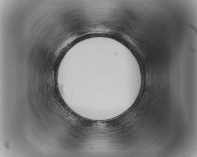X0000101151315200807251039