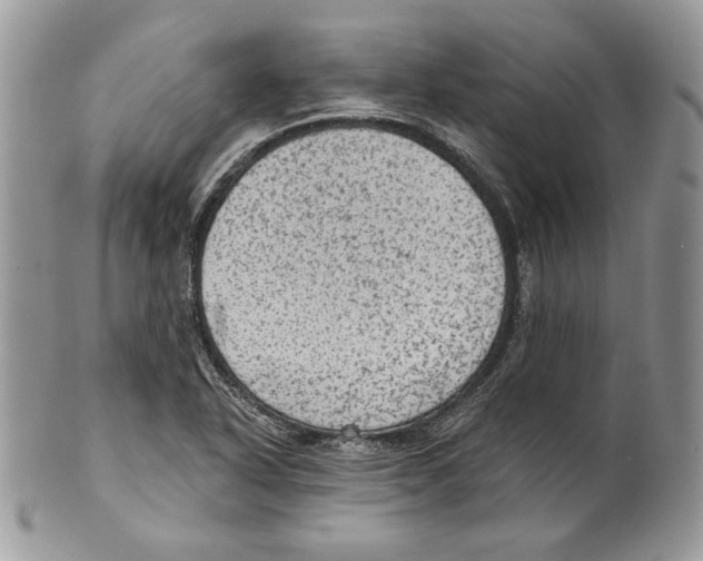 X0000101151318200807251039